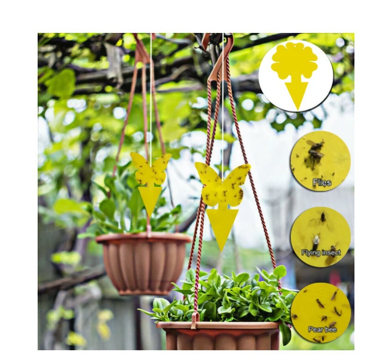 LIGHTSMAX Yellow Sticky Bug Traps for White Flies Mosquitos Fungus