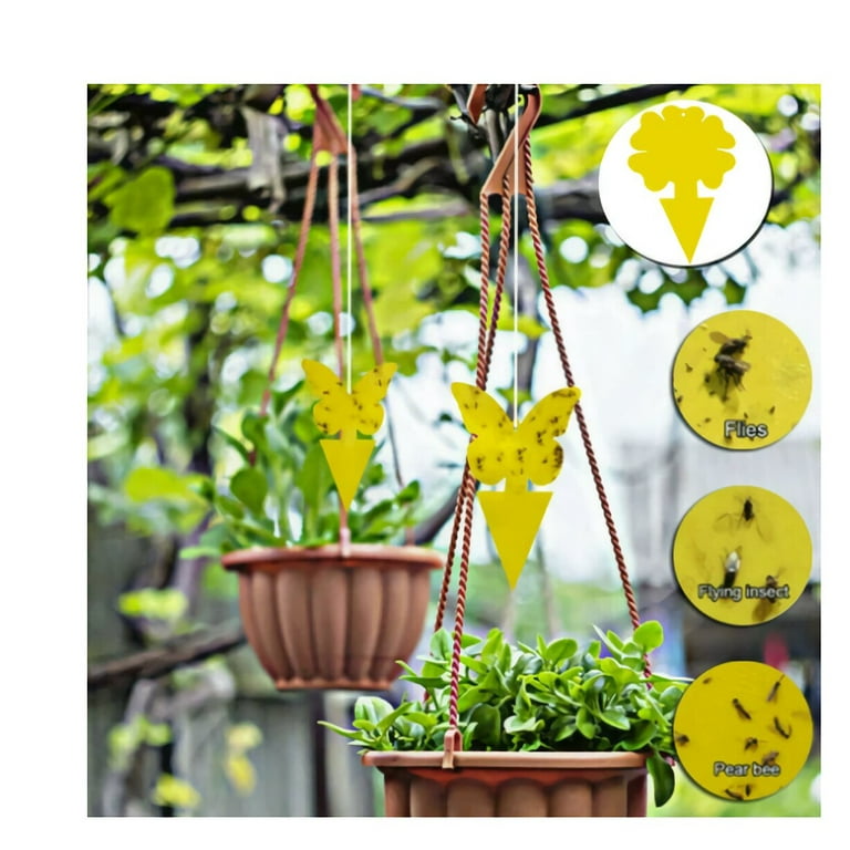 Indoor and Outdoor Fruit Fly Traps Yellow Sticky Plant Bug Fungus Fly Trap  Outdoor, Hangable Pluggable Traps (60-Pack)