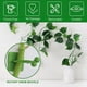 thumbnail image 2 of Soportes autoadhesivos para plantas trepadoras, 50 piezas verdes medianas, material ABS resistente y duradero, diseño multifuncional para paredes y cableado en casa., 2 of 6