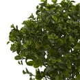 thumbnail image 2 of Nearly Natural 6860 28 Po Peperomia Plante UV Résistant - Intérieur et Extérieur, 2 of 3