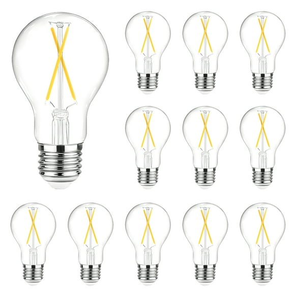 DAYBETTER Bombillas LED Edison Vint. A19 No Reg., Eq. a 60 W, 5000 K, base E26 de 8 W, 800 lm, CRI80+, Bomb. de Fil. de Vidrio Transp. para Hogar, Granja, Pqt. de 12