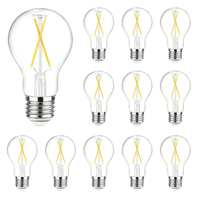 DAYBETTER Bombillas LED Edison Vint. A19 No Reg., Eq. a 60 W, 5000 K, base E26 de 8 W, 800 lm, CRI80+, Bomb. de Fil. de Vidrio Transp. para Hogar, Granja, Pqt. de 12