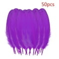 thumbnail image 2 of Clearance! Fdelink Feathers Decoration 50 Pcs Colourful Plumage for Wedding Party Flower Arrangement Home Decoration Diy Middle Floating Plume for Hair Cat Stick Clothing Craft Decoration Plumage, 2 of 3