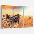 thumbnail image 3 of Design Art - Zebras Herd in Field At Sunset, 3 of 3