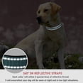 thumbnail image 4 of YSTINNG Reflective Dog Collar with Buckle Adjustable Safety Nylon Collars for Small Medium Large Dogs, Grey M YD72-116, 4 of 7