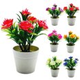thumbnail image 1 of Funie 1 Set Artificial Plant Pot Kapok Flower Windowsill Ornaments Plastic Micro landscape Simulation Bonsai for Garden, 1 of 1
