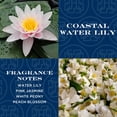 thumbnail image 2 of Difusor de varillas Homeworx Frozen Balsam, 2 of 6