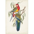 thumbnail image 2 of Gould, John 17x24 Gold Ornate Wood Framed with Double Matting Museum Art Print Titled - Tropical Parrots IV, 2 of 4