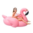 thumbnail image 1 of Pool Float Doctor Dolphin Flamingo inflable para adultos, 1 of 6