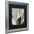 thumbnail image 2 of Trademark Fine Art "Florison 42" Canvas Art by Alan Blaustein, Black Matte, Silver Frame, 2 of 4