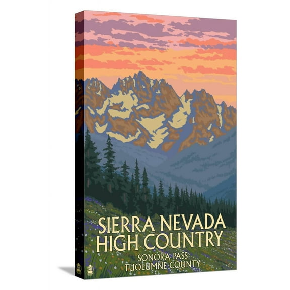 Art.com Sierra Nevada High Country - Sonora Pass, Tuolumne County, California - Spring Flowers Stretched Canvas Print Wall Art by Lantern Press, 12" x 18"