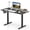 Black, variant on Costway 48" x 24" Electric Standing Desk with LED Display 2 Memory Height Settings for Home Black