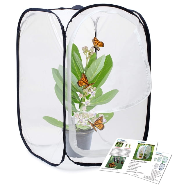 Terrario en jaula para hábitat de insectos y mariposas RESTCLOUD