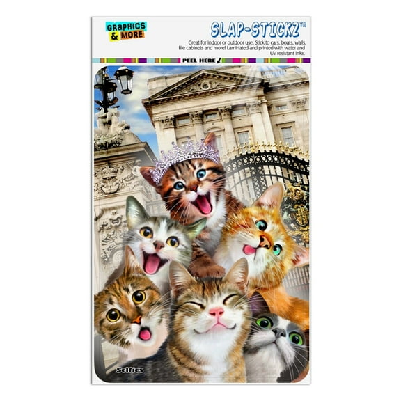 Cats Selfie at London Palace England Britain Home Business Office Sign