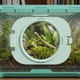 thumbnail image 5 of Dwarf Hamster Cage, No Assembly Full Transparent, Small Desktop/Breeding/Nursery Cage, 9.84x6.3x5.51in, Fits Small Space/Kid’s Room, for Dwarf & Baby Hamsters  Green, 5 of 5