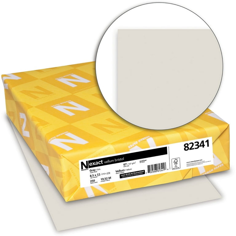Hamilco Colored Cardstock Paper Gray Bristol Vellum Card Stock for Scr –