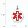 thumbnail image 2 of Beautiful 14k White Gold Red Enamel Medical Jewelry Pendant, 2 of 2