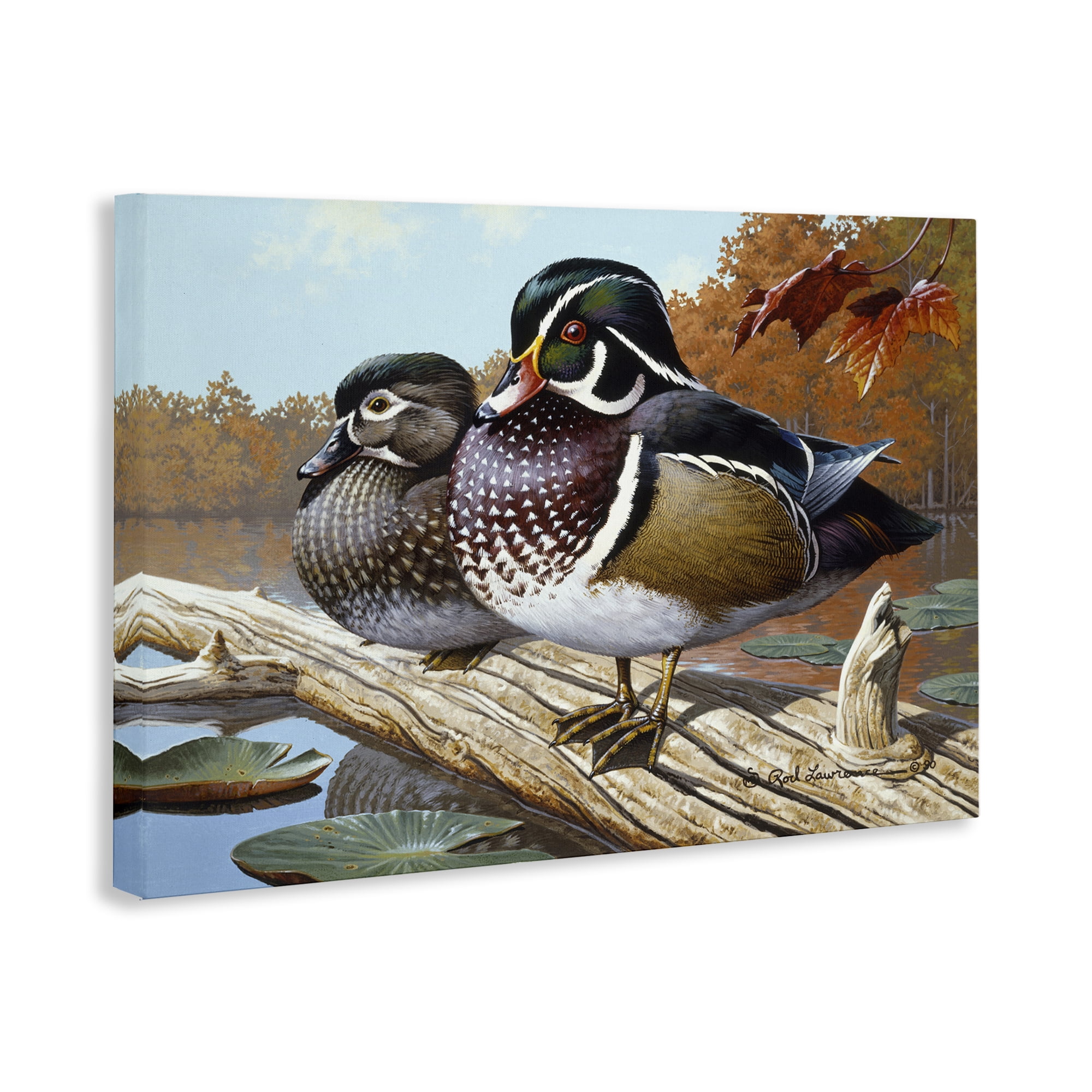 Stupell Industries Duck Pair on Driftwood Animals Painting Wrapped Canvas Art Print Wall Art, 45 x 30
