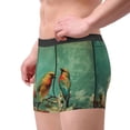 thumbnail image 2 of Xecao Retro Birds Print Men's Underwear Boxer Briefs,Breathable Choice for Men's Underwear-XX-Large, 2 of 5