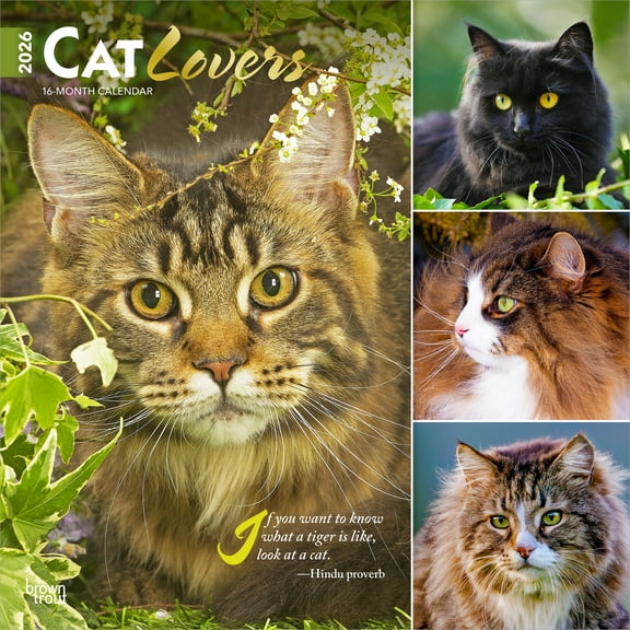 Cat Lovers | 2026 12x24" (Hanging) Square Wall Calendar | Plastic-Free