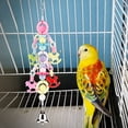 thumbnail image 4 of Bird Perch,Colorful Beads Bell Bird Parrot Perch Bird Bite Toy Exceptional Reliability, 4 of 14