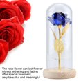 thumbnail image 4 of Fleur de Rose Préservée, Fleur de Rose Préservée A Mené la Fleur de Rose avec le Cadeau de Fleur de Rose de Couverture de Verre Construit pour la Précision, 4 of 13