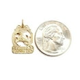 thumbnail image 2 of 14k yellow Gold Capricorn zodiac sign astrology Pendant charm fine jewelry 1.2g, 2 of 12