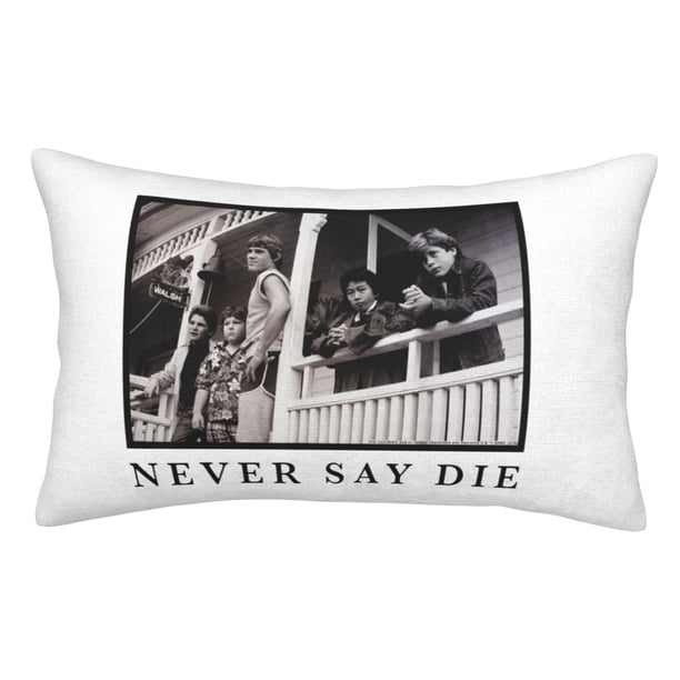 Fundas de almohada de The Goonies, fundas de almohada mullidas súper suaves y acogedoras con cremallera, 20 x 30 pulgadas, dormitorio, sofá, sillón, funda de almohada para todas las estaciones