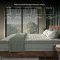 thumbnail image 6 of NapQueen Elite Series Machka 10" Full Size Mattress, Hybrid Pocket Spring Coils, Bed In a Box, Adult, 6 of 8