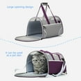 thumbnail image 5 of HongHeng Cat, Carrier for Small Mediums Puppies up to 15 Lbs, Soft Sided, Collapsible Travel Puppy Carrier, 5 of 6