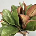 thumbnail image 4 of Hbdhejl 2 Pcs Fausses Branches de Magnolias Feuilles de Magnolias Pics de Feuilles de Magnolias Feuilles de Magnolias Réalistes Brindilles Verdure Magnolias pour Maison Table Vase Intérieur Extérieur, 4 of 8