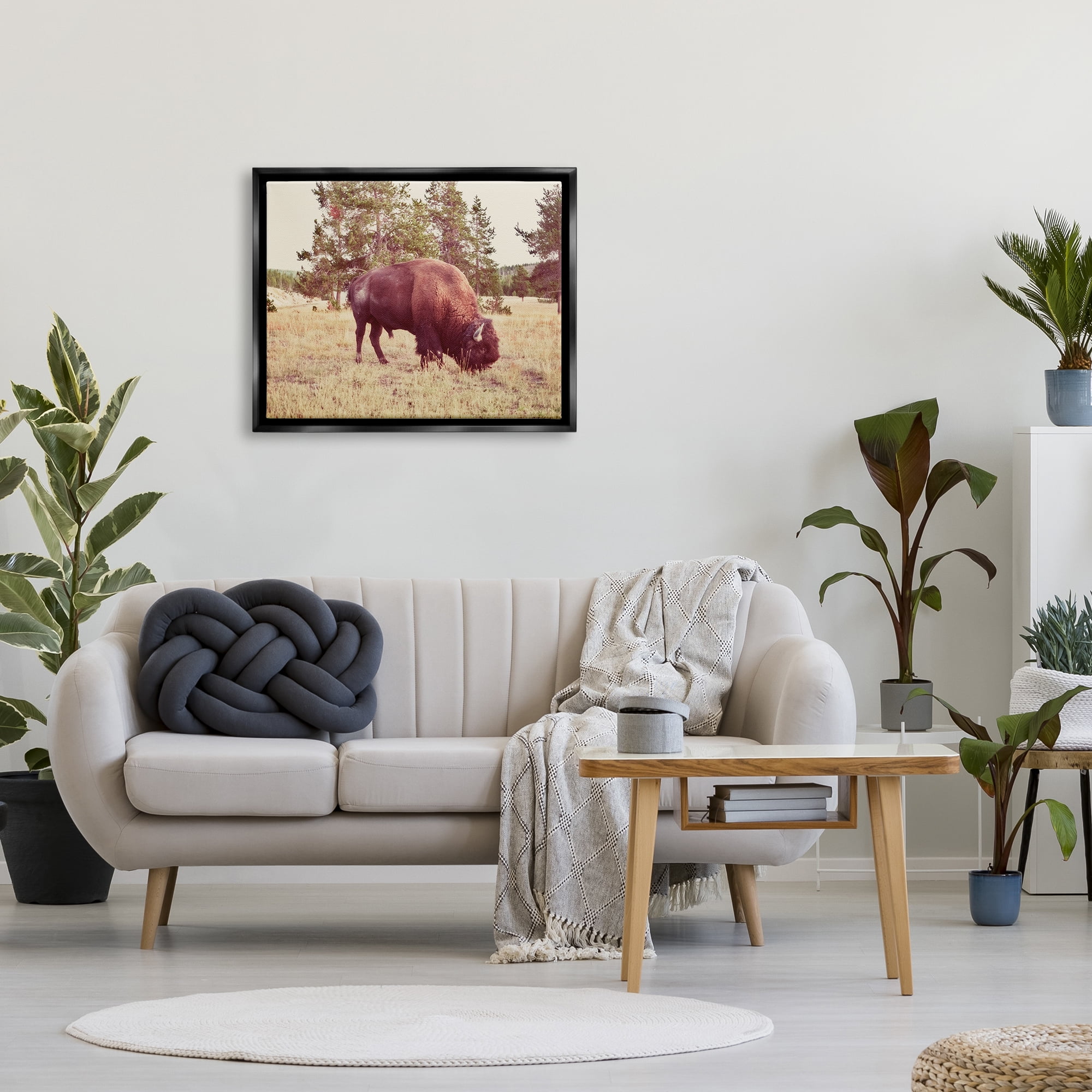 Stupell Wild Bison Rural Nature Scenery Animals & Insects Photography Black Floater Framed Art Print Wall Art