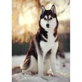thumbnail image 1 of Taladro diamante pintura (DE2937) 5D DIY completo sentado perro lobo punto de cruz bordado 50x70cm Hugtrwg Para estrenar, 1 of 1