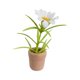 thumbnail image 1 of Flores en maceta en miniatura, planta de casa de muñecas, Mini bonsái, miniplanta en maceta, flores con maceta de cerámica, 1 of 9