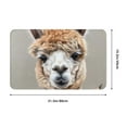 Bathroom Rugs Non Slip Washable Realistic Llama Portrait Kitchen Mats