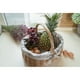 thumbnail image 3 of Canasta De Paja Tejida Almacenamiento De Mimbre De Mimbre De Comida De Fruta Sunnimix Picnic Basket Organizer, 3 of 8