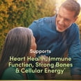 thumbnail image 2 of Multivitamínico Nature's Bounty de alta potencia para hombre, 100 cápsulas, 2 of 8