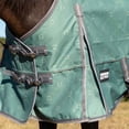thumbnail image 3 of Jeffers Poplar Head 1200 Denier Turnout Sheet for Horses, 0g Polyfill, 69"- Waterproof Lightweight Horse Blanket, Adjustable Chest Belly Straps, Tail Flap, Stable Blanket - Spruce Stirrup Irons, 3 of 7
