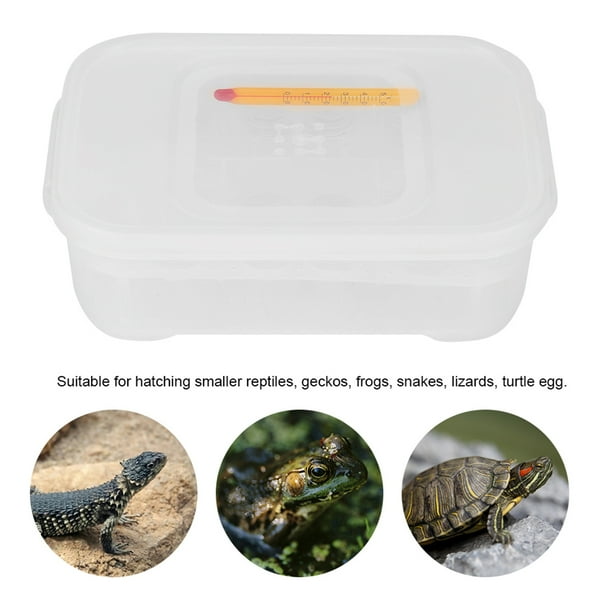 Snakes Eggs Incubator,12 Grids Snakes Gecko Reptiles Eggs Incubator