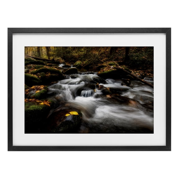 Stupell Industries Farmhouse Fallen Leaves on Stream Black Framed Print Under Glass, 20 x 14, by D. Burt