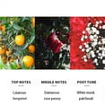 thumbnail image 4 of 15 ml Exóticos Perfumes De Feromonas Femeninas, Perfumes Que Atraen A Hombres, Colores Perfumes, Aromas Únicos, Fáciles De Llevar, Liberan Tu Encanto 15 ml 0.51Oz.FL, 4 of 5