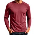 thumbnail image 2 of Frnrwgo Men's T-Shirt Regular Fit Long Sleeve Solid Color Breathable Lightweight Sports Casual All Season Top, 2 of 9