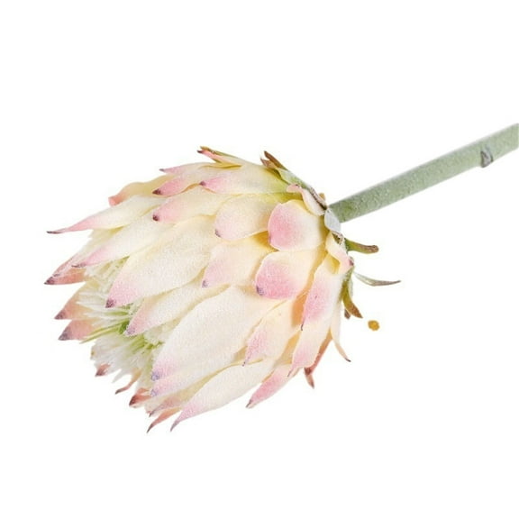 6Pcs Artificial King Protea Flower Fake Protea Cynaroides Bouquet Tropical Flowers for Table Decor