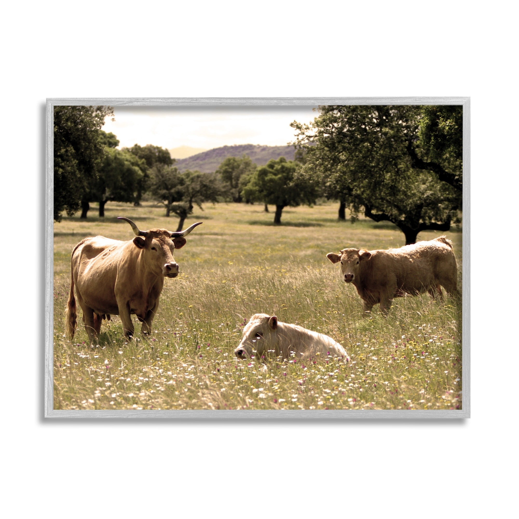 Stupell Industries Three Cattle Relaxing Grassland Pasture Rural Farm Trees Photograph Gray Framed Art Print Wall Art, Design by Daphne Polselli