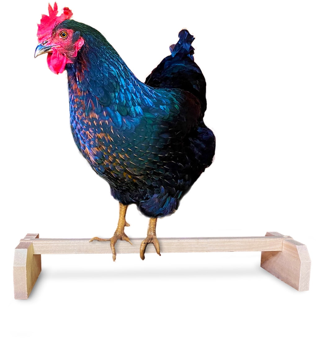 Chicken Perch Pure Solid Wood Parrot Biting Toy Rooster Hen Triangle Stand