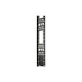 thumbnail image 2 of Tripp Lite 45U Rack Enclosure Server Cabinet Vertical Cable Management Bars - Black - 2 Pack - 45U Rack Height, 2 of 7