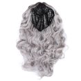 thumbnail image 1 of Pelucas Pelo sintético largo - Pelucas de pelo para mujer Peluca de pelo ondulado de pelo sintético largo Peluca de pelo natural rizado gris plateado, 1 of 5