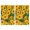 Yellow Sunflower Field, variant on 2 Pcs Funny Kitchen Towels,Yellow Sunflower Field Pattern Microfiber Dish Towels,Kitchen Tea Towels,Kitchen Towel Set (18" X 26")