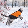 thumbnail image 6 of Warm Dog Kitty Winter Coat Thick Padded Pet Jacket Cold Weather Puppy Clothing Cozy Outdoor Apparel for Small Medium Dogs and Kitties, 6 of 6
