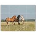thumbnail image 1 of Picture-Tiles.com: Horse Ceramic Tile Wall Mural WAL500745-43XL. 48"W x 36"H using (12) 12" x 12" Ceramic Tiles-Satin Finish, 1 of 3